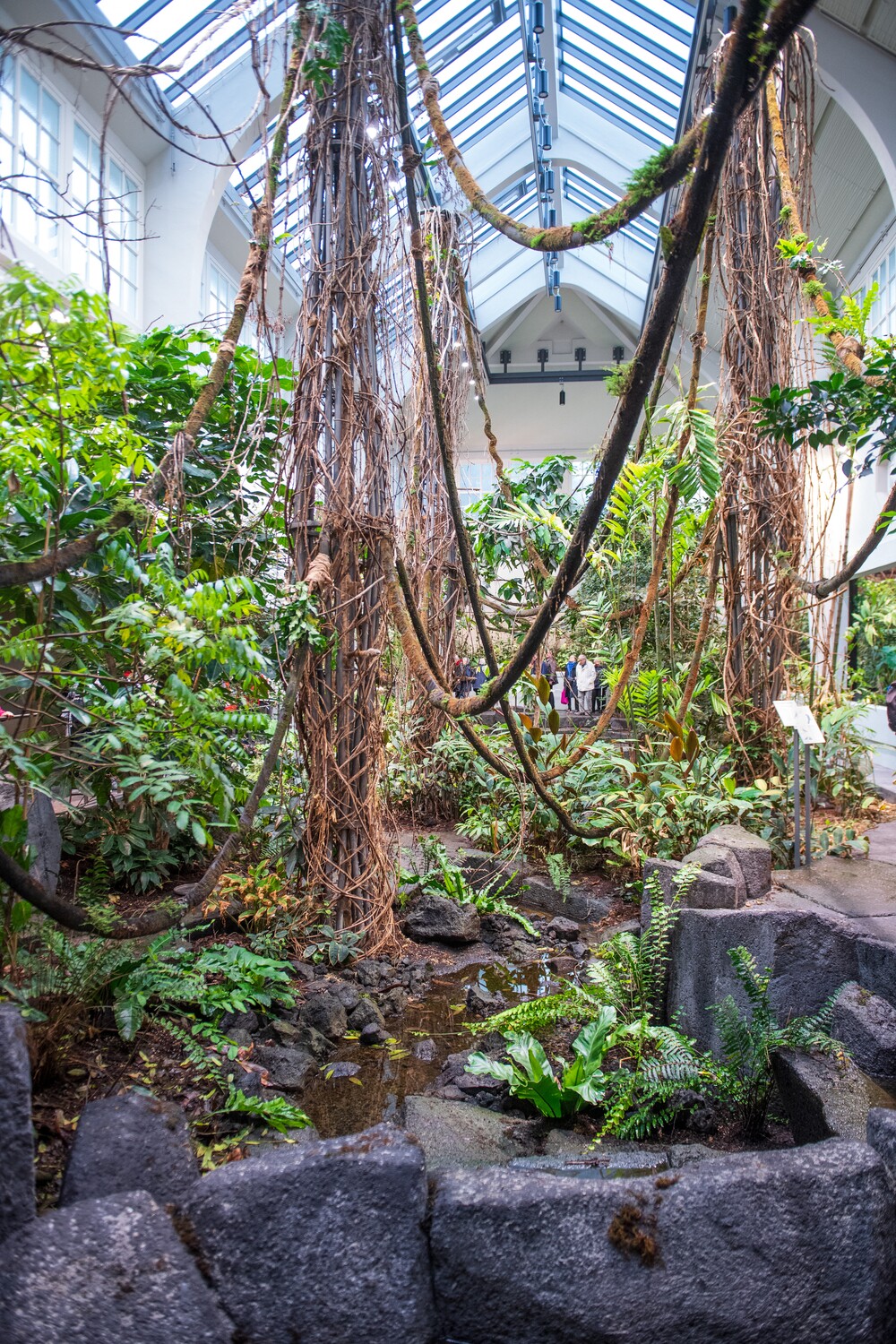 Foto_Vogelhaus_Freiflughalle_