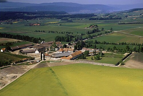 Referenz Witzwil Aula