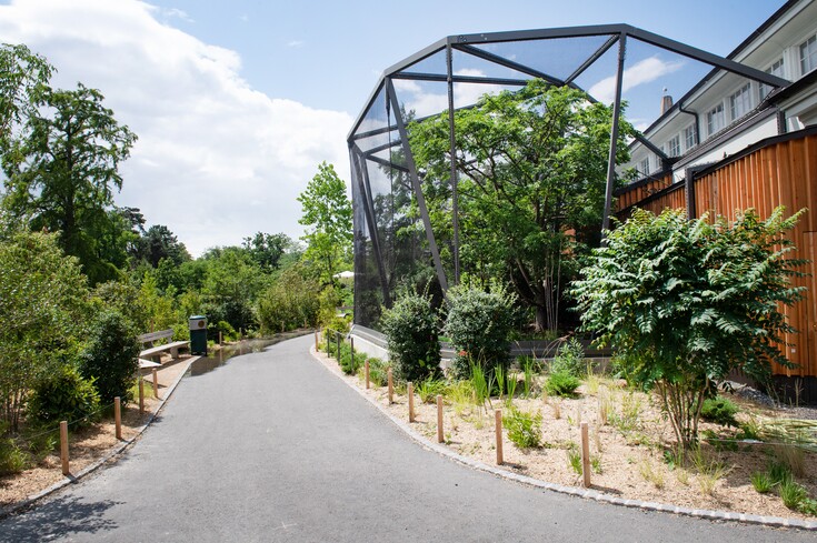 Foto_Vogelhaus_Aussenvoliere